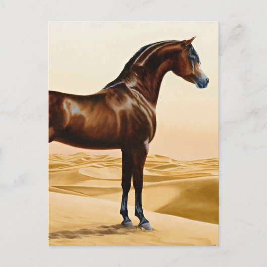 Arabian Horse - William Barraud Briefkaart (Voorkant)