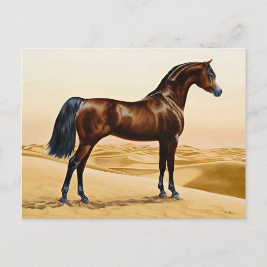 Arabian Horse - William Barraud Briefkaart (Voorkant)