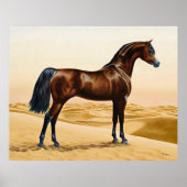Arabian Horse - William Barraud Poster (Voorkant)