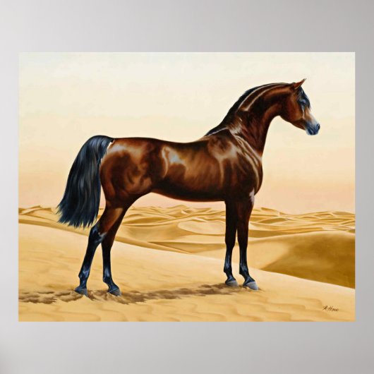Arabian Horse - William Barraud Poster (Voorkant)