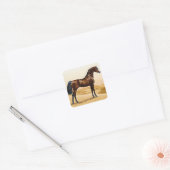 Arabian Horse - William Barraud Vierkante Sticker (Envelop)