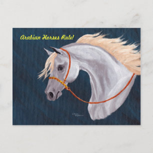Arabian Horses Rule Briefkaart
