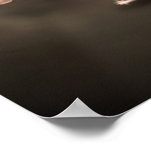 Arabian Knight Poster (Hoek)