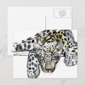 Arabian Leopard 2008 Briefkaart (Voorkant / Achterkant)