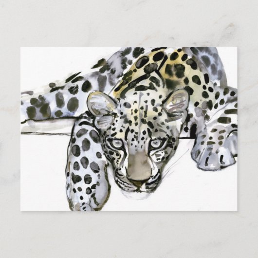 Arabian Leopard 2008 Briefkaart (Voorkant)