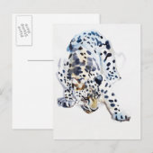 Arabian Leopard 2008 Briefkaart (Voorkant / Achterkant)