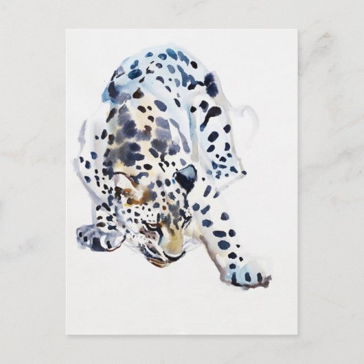 Arabian Leopard 2008 Briefkaart (Voorkant)