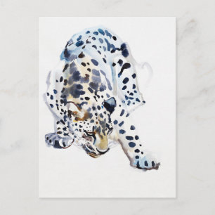 Arabian Leopard 2008 Briefkaart