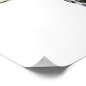 Arabian Leopard 2008 Poster (Hoek)