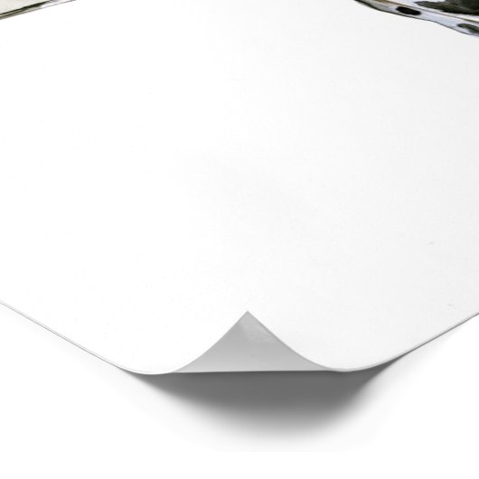 Arabian Leopard 2008 Poster (Hoek)