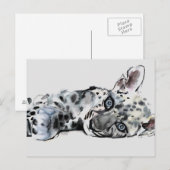 Arabian Leopard Cub 2008 Briefkaart (Voorkant / Achterkant)