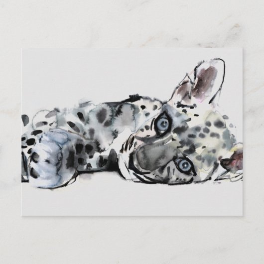 Arabian Leopard Cub 2008 Briefkaart (Voorkant)
