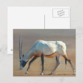 Arabian Oryx 2010 Briefkaart (Voorkant / Achterkant)