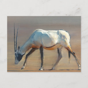 Arabian Oryx 2010 Briefkaart