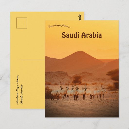 Arabian Oryx Neom Saudi Arabia Briefkaart (Voorkant / Achterkant)
