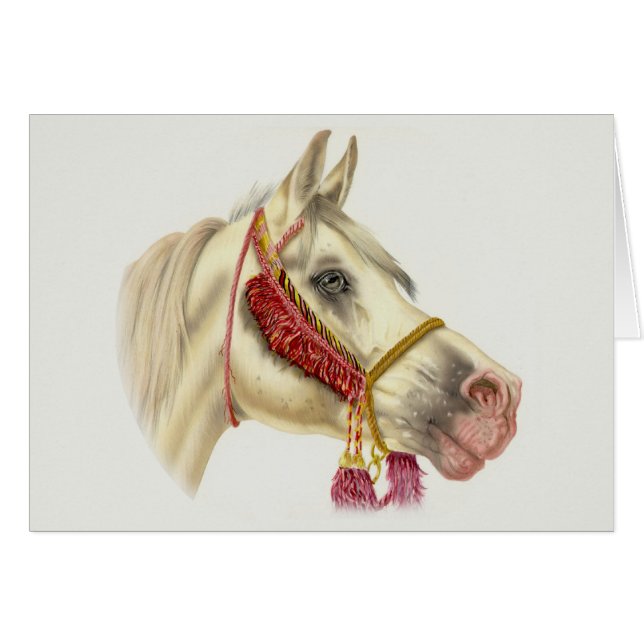 Arabian Stallion (Voorkant Horizontaal)