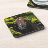 Arabian Stallion Bier Onderzetter (Linkerzijde)