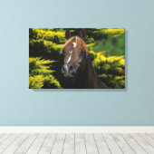 Arabian Stallion Canvas Afdruk (Insitu (Houten vloer))