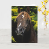 Arabian Stallion Kaart (Gele Bloem)