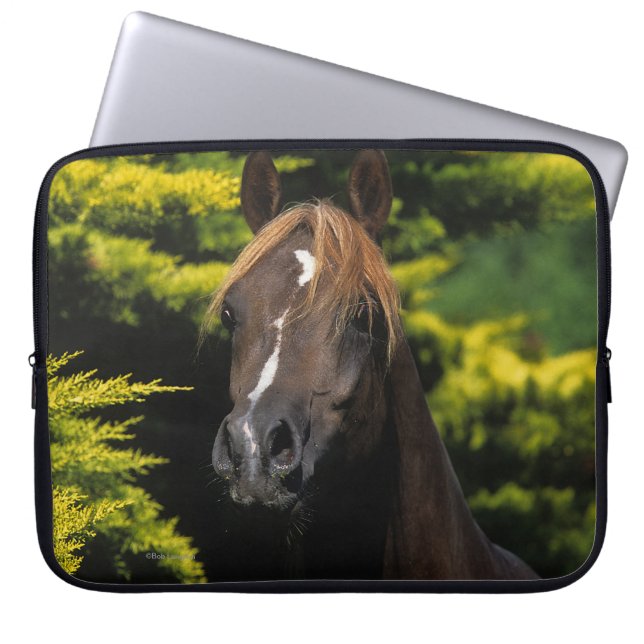 Arabian Stallion Laptop Sleeve (Voorkant)