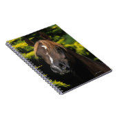 Arabian Stallion Notitieboek (Rechterzijde)