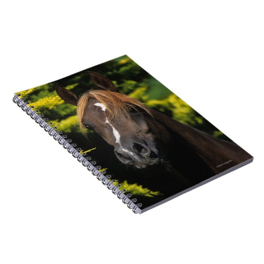 Arabian Stallion Notitieboek (Rechterzijde)