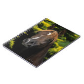 Arabian Stallion Notitieboek (Linkerzijde)