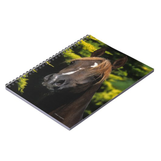 Arabian Stallion Notitieboek (Linkerzijde)