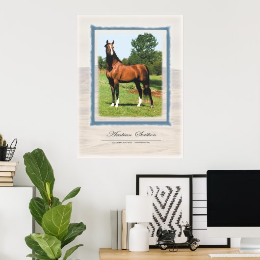 Arabian Stallion Poster (Thuiskantoor)