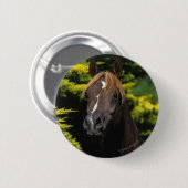 Arabian Stallion Ronde Button 5,7 Cm (Voorkant /achterkant)
