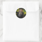 Arabian Stallion Ronde Sticker (Tas)