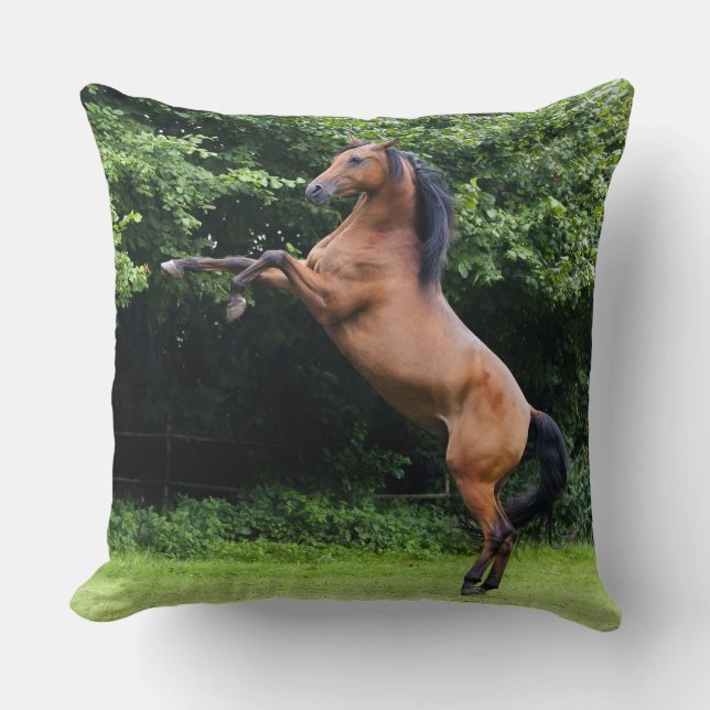 Arabian Stallion Sierkussen (Voorkant)