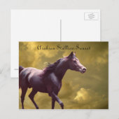 Arabian Stallion Stormy Sunset Briefkaart (Voorkant / Achterkant)