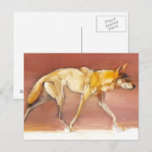 Arabian Wolf 2010 Briefkaart (Voorkant / Achterkant)