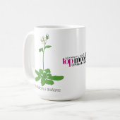 Arabidopsis mok (Voorkant links)