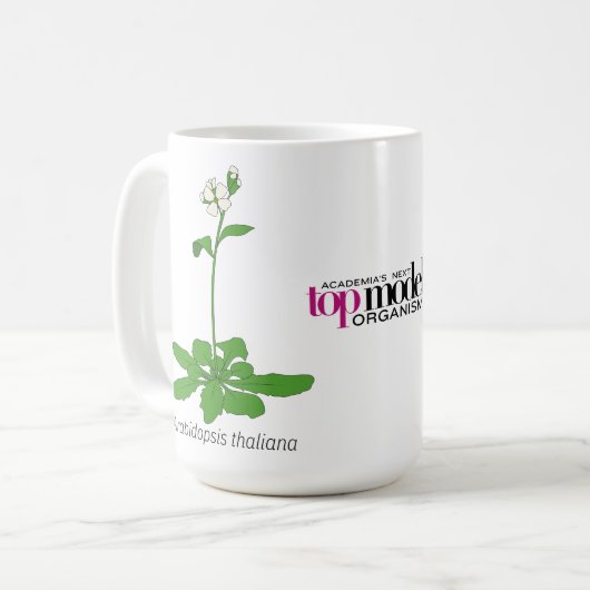 Arabidopsis mok (Voorkant links)