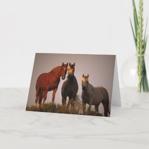 Arabieren bij Zonsondergang Kaart