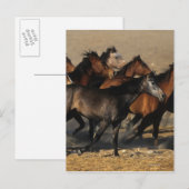 Arabieren die in de woestijn lopen briefkaart (Voorkant / Achterkant)