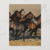 Arabieren die in de woestijn lopen briefkaart (Voorkant)