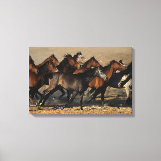 Arabieren die in de woestijn lopen canvas afdruk