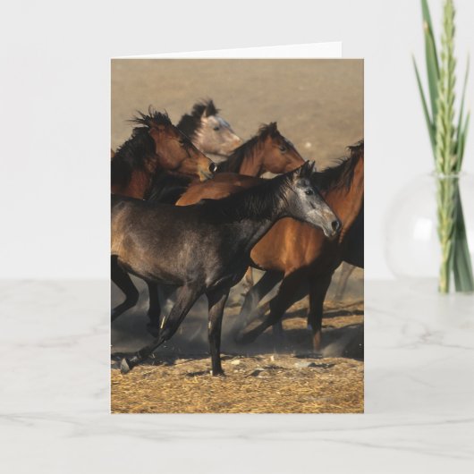 Arabieren die in de Woestijn lopen Kaart (Voorkant)