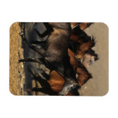 Arabieren die in de woestijn lopen magneet (Horizontaal)