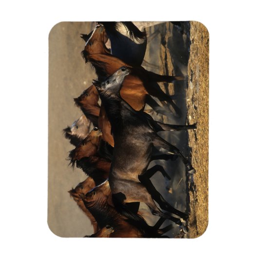 Arabieren die in de woestijn lopen magneet (Verticaal)