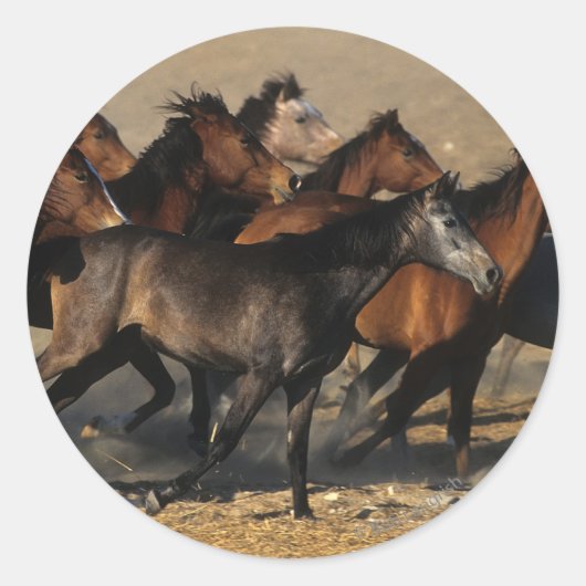 Arabieren die in de woestijn lopen ronde sticker (Voorkant)