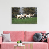 Arabieren die in het veld lopen canvas afdruk (Insitu (Woonkamer))