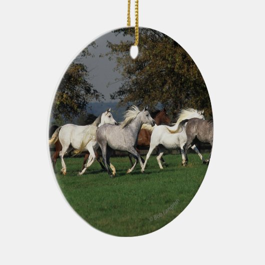 Arabieren die in het veld lopen keramisch ornament (Rechts)