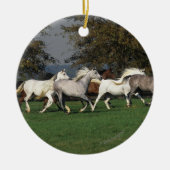 Arabieren die in het veld lopen keramisch ornament (Voorkant)