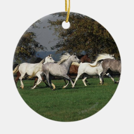 Arabieren die in het veld lopen keramisch ornament (Voorkant)