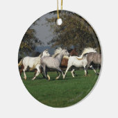 Arabieren die in het veld lopen keramisch ornament (Links)