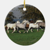 Arabieren die in het veld lopen keramisch ornament (Achterkant)